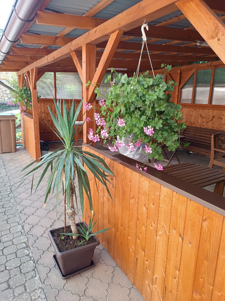 Obrázek 1